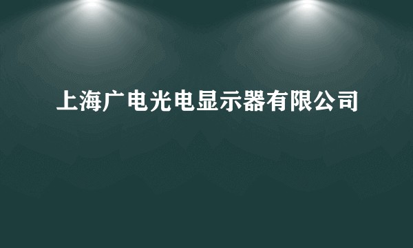上海广电光电显示器有限公司