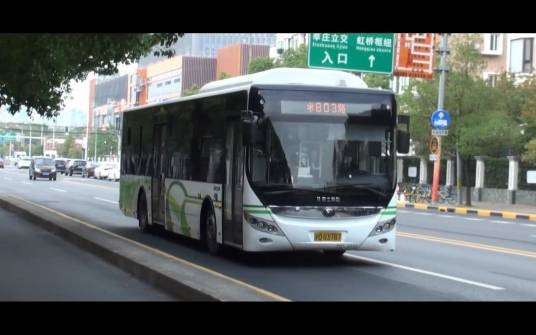 上海公交803路