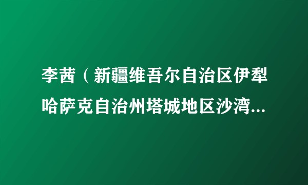 李茜(新疆维吾尔自治区伊犁哈萨克自治州塔城地区沙湾市人民检察院党组副书记、检察长)