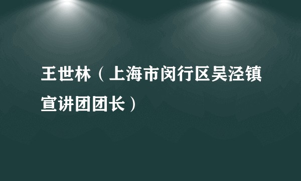 王世林（上海市闵行区吴泾镇宣讲团团长）