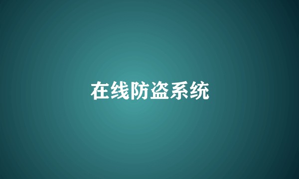 在线防盗系统