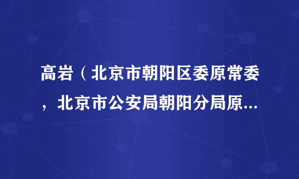 高岩（北京市朝阳区委原常委，北京市公安局朝阳分局原分局长）