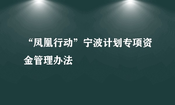 “凤凰行动”宁波计划专项资金管理办法