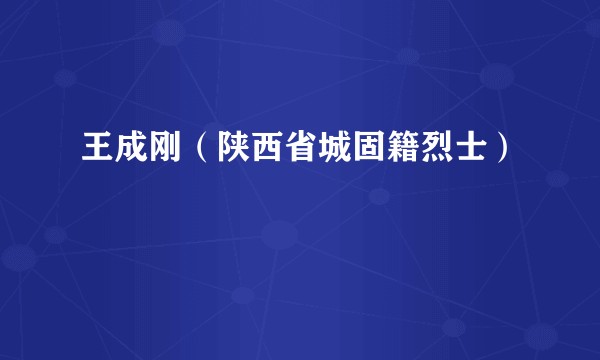 王成刚（陕西省城固籍烈士）