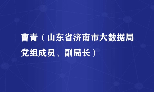 曹青(山东省济南市大数据局党组成员、副局长)