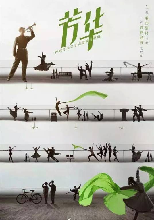 芳华(2020年阎建钢执导电视剧)