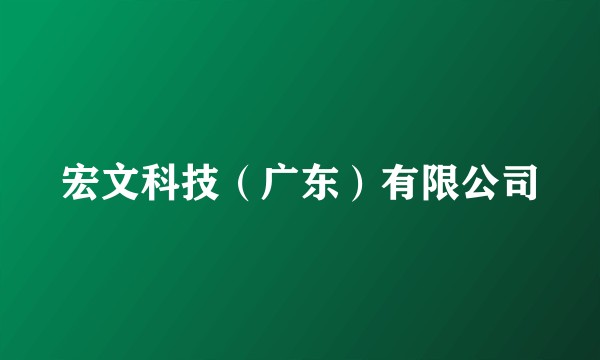 宏文科技（广东）有限公司