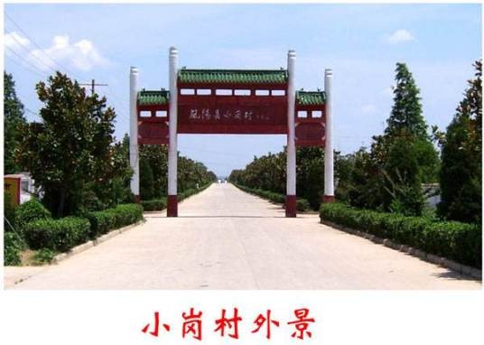小岗村(贵州遵义习水县永安镇下辖村)