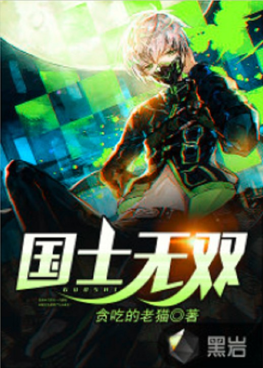 国士无双（贪吃的老猫创作的社会类网络小说）