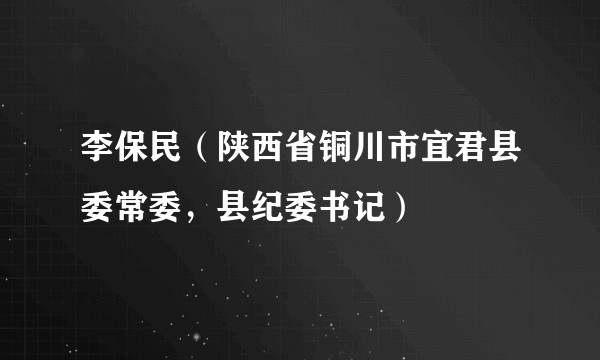 李保民(陕西省铜川市宜君县委常委,县纪委书记)