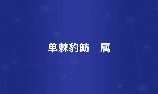 单棘豹鲂鮄属