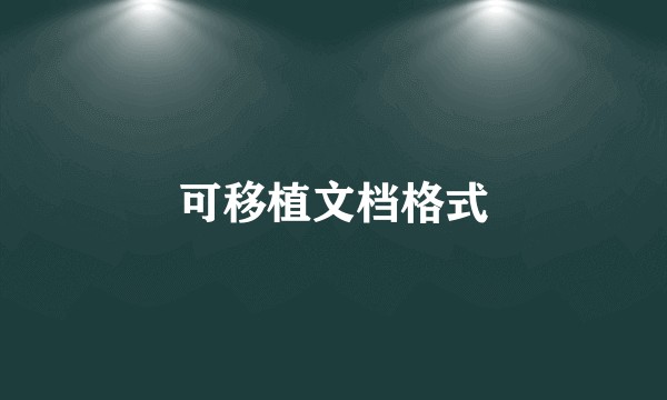 可移植文档格式