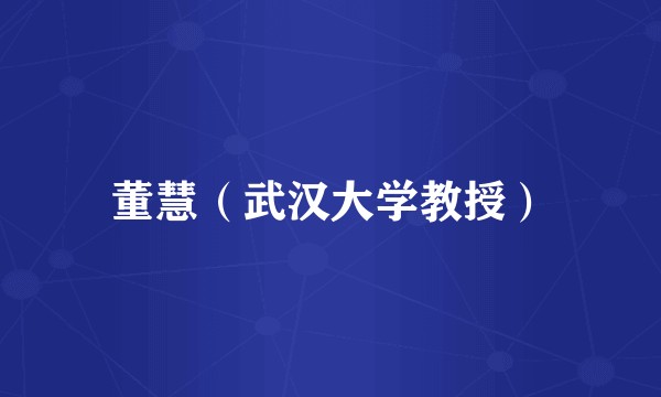 董慧（武汉大学教授）