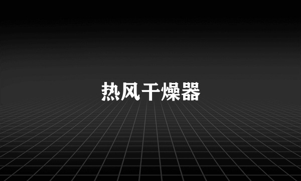 热风干燥器
