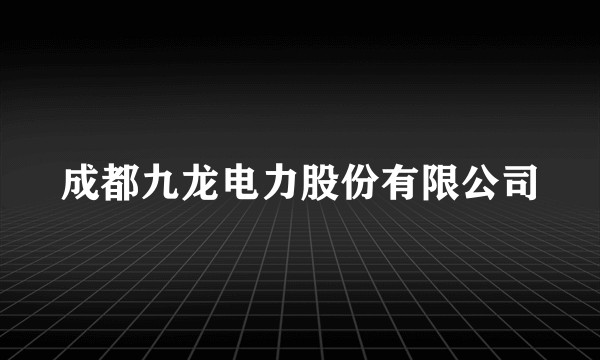 成都九龙电力股份有限公司