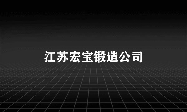 江苏宏宝锻造公司