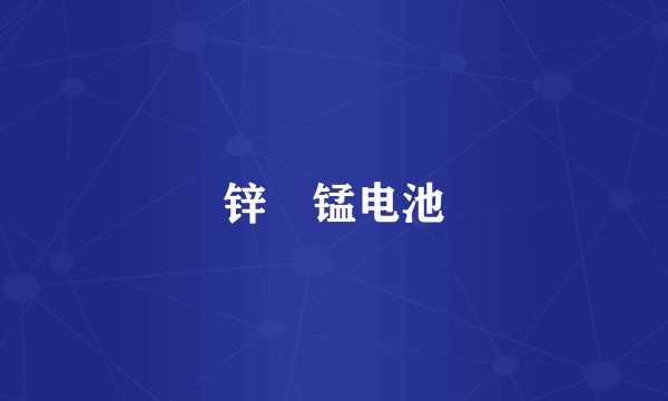 锌–锰电池