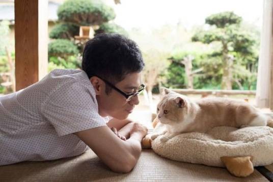 猫咪后院(2017年伊藤淳史主演的真人电影)
