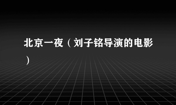 北京一夜（刘子铭导演的电影）