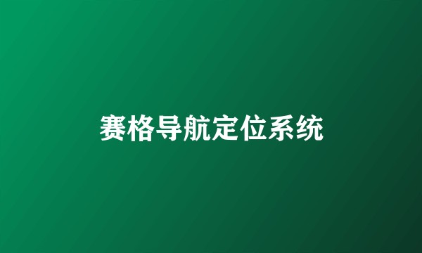 赛格导航定位系统
