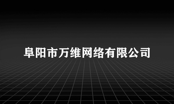 阜阳市万维网络有限公司