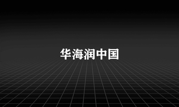华海润中国