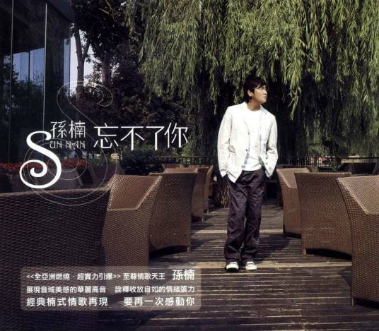 忘不了你（孙楠演唱歌曲）