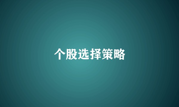 个股选择策略