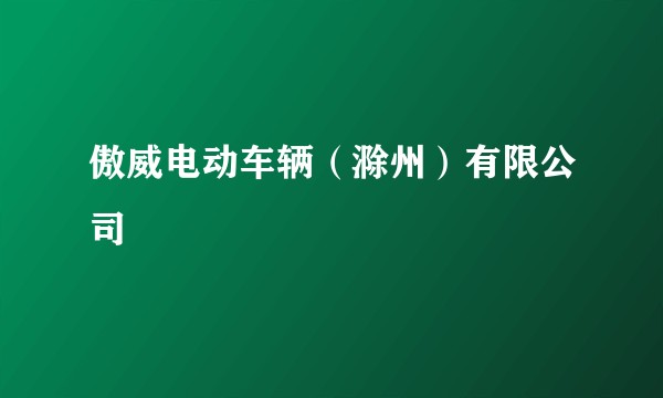 傲威电动车辆(滁州)有限公司