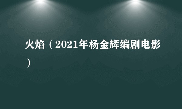 火焰（2021年杨金辉编剧电影）