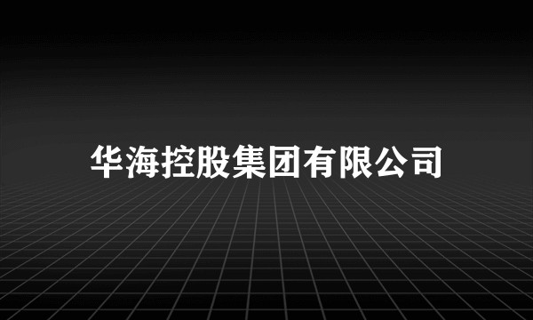 华海控股集团有限公司