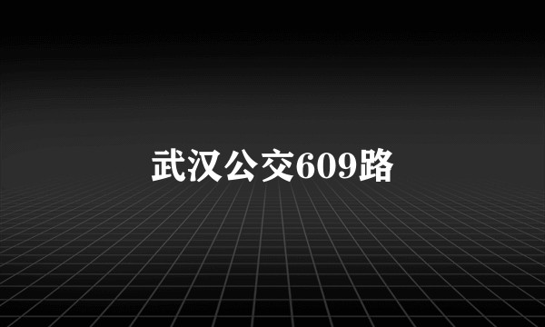 武汉公交609路