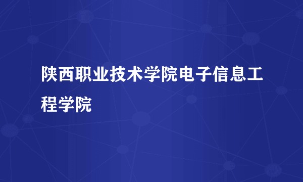 陕西职业技术学院电子信息工程学院