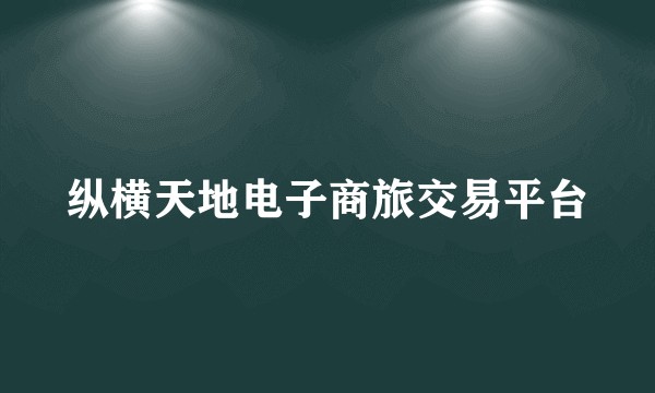 纵横天地电子商旅交易平台