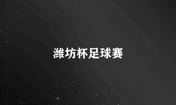 潍坊杯足球赛