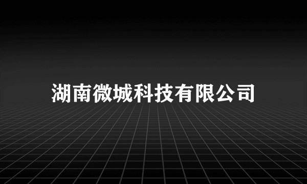 湖南微城科技有限公司