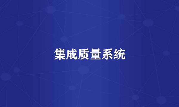 集成质量系统
