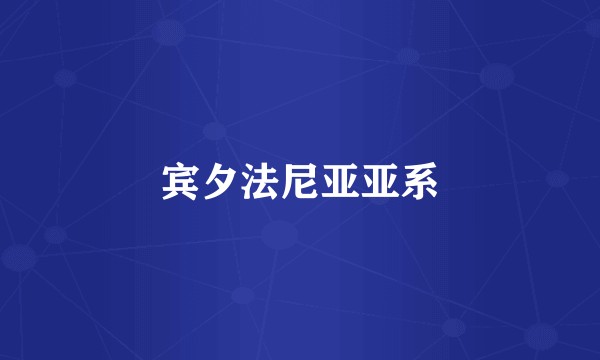 宾夕法尼亚亚系