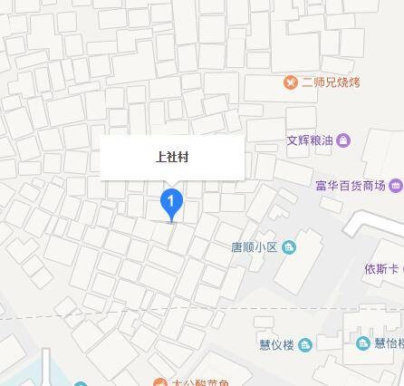 上社村(广东省广州市天河区棠下街道下辖村)