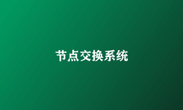节点交换系统
