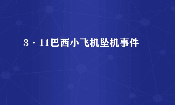 3·11巴西小飞机坠机事件