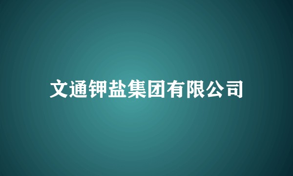 文通钾盐集团有限公司
