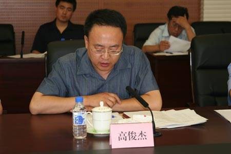 高俊杰(山东晨鸣纸业集团第六届监事会主席)