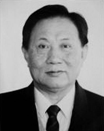 崔建民(原审计署副审计长)