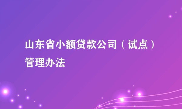 山东省小额贷款公司(试点)管理办法