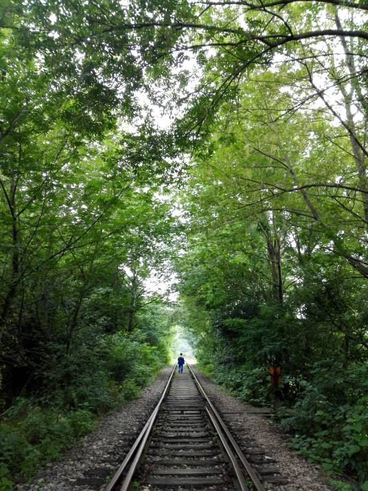 爱情隧道（桥头集爱情隧道）