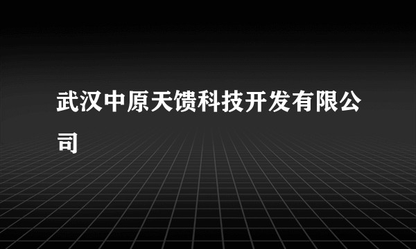 武汉中原天馈科技开发有限公司