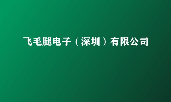 飞毛腿电子（深圳）有限公司