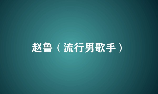 赵鲁（流行男歌手）