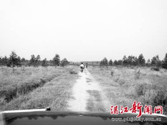 仙村（湛江市麻章区太平镇仙村）